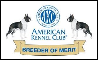 Breeder of Merit: American Kennel Club: Boston Terrier
